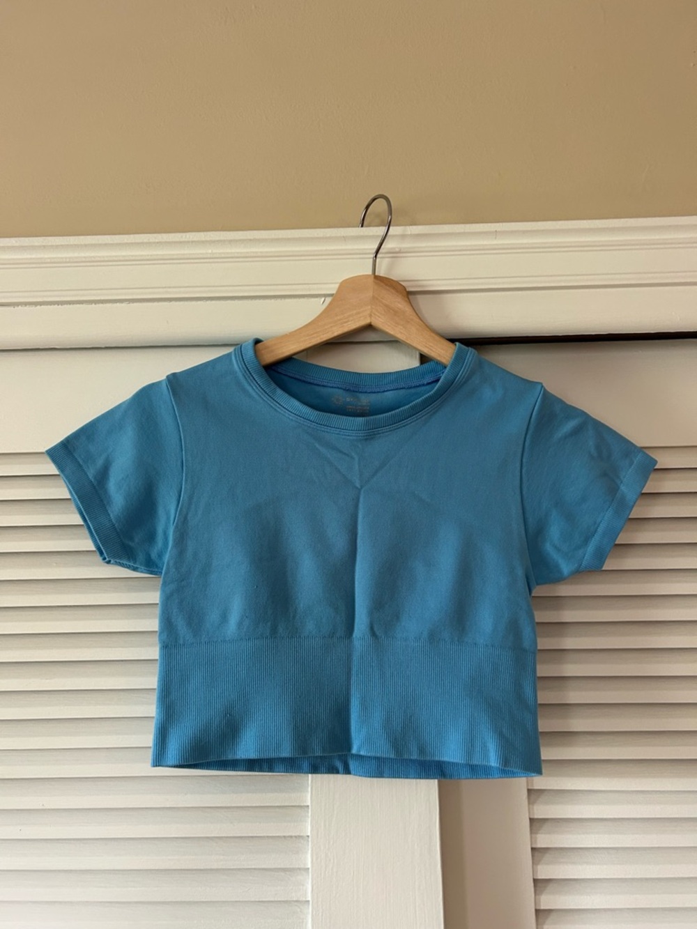 Aerie Blue Short Sleeve Crop Tee